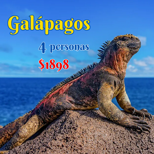 galapagos